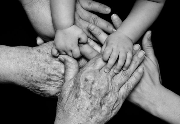 ¿Qué ha pasado con el proyecto de ley de maltrato contra niños, niñas y adolescentes, adultos mayores y personas en situación de discapacidad?